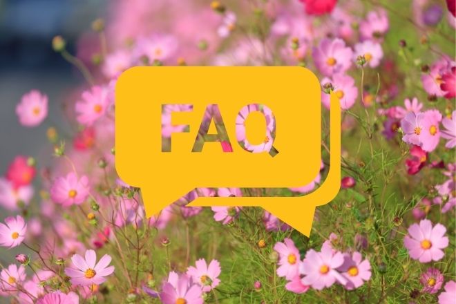 FAQ｜三沢市のエコキュート交換の費用・補助金・依頼先の選び方についてよくある質問