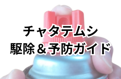 チャタテムシ駆除＆予防完全ガイド！これで安心生活