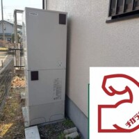 BHP-TA374
