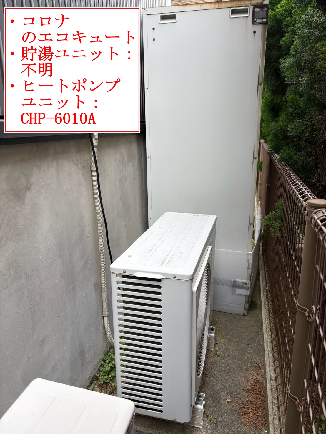不明