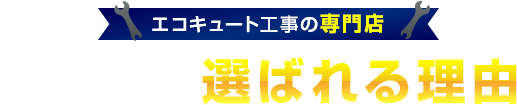 チカラもちが選ばれる理由
