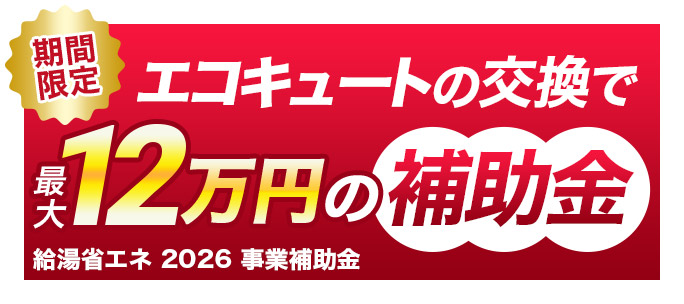 ライズカンパニー