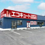 ライズカンパニー