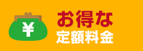 お得な定額料金